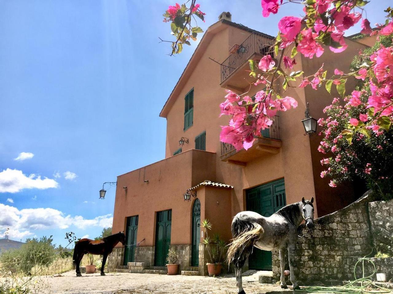 Country Room Sicily - Agrigentoholidays Luaran gambar